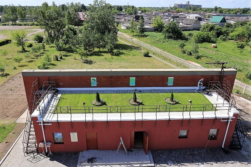 А это зелёная крыша школы в Марьиной горке, что появилась летом 2017 года