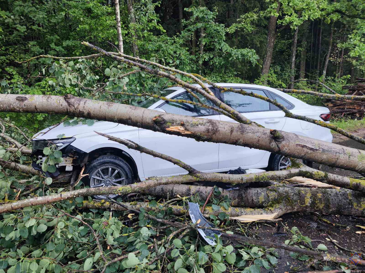 Непогода повредила 23 дома и один автомобиль. Пострадал молодой мужчина |  greenbelarus.info