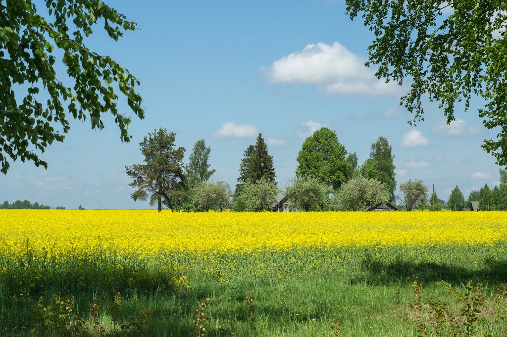 Картинки для рб