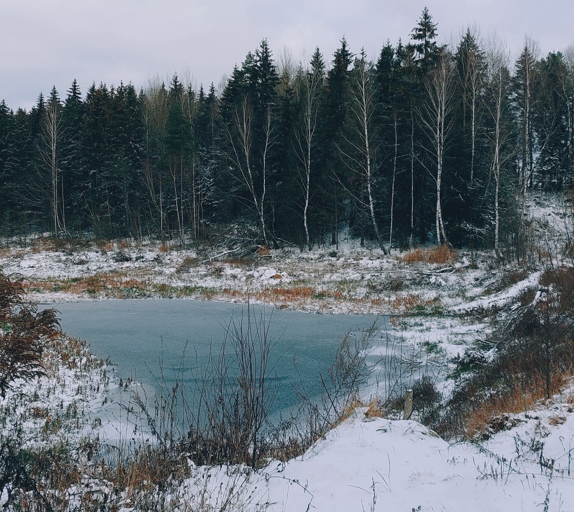 Маршрут Дорога Тишины под Минском. Советы того, кто по нему прошёл |  greenbelarus.info