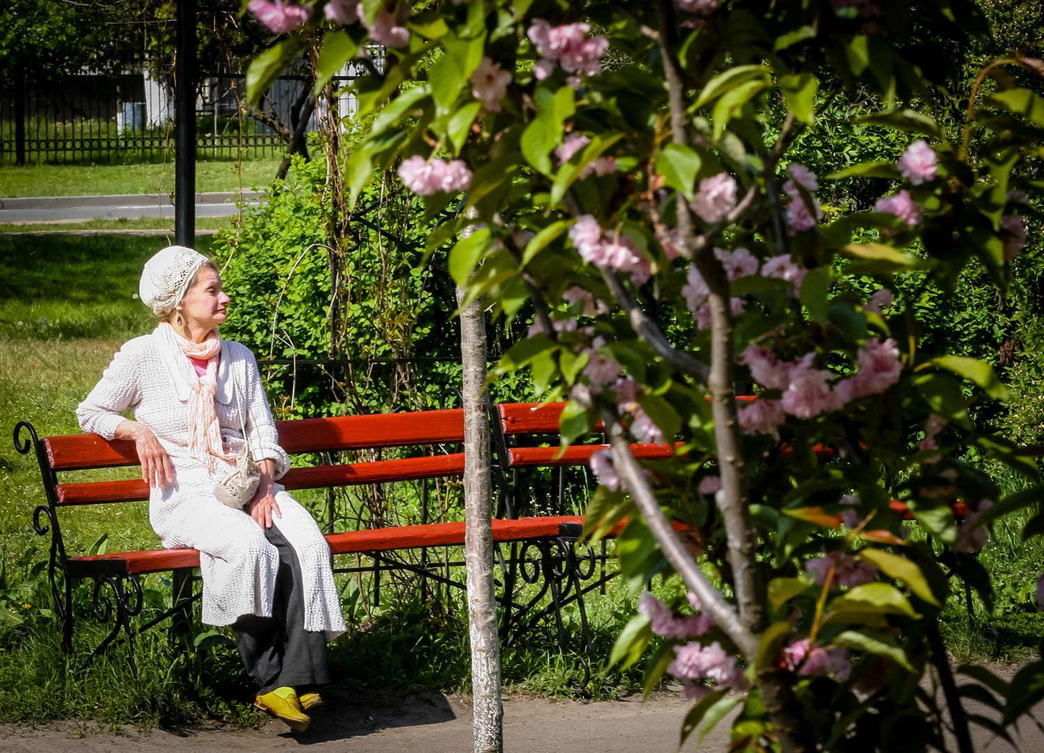 Чтобы деревья были большими, а города – зелёными | greenbelarus.info