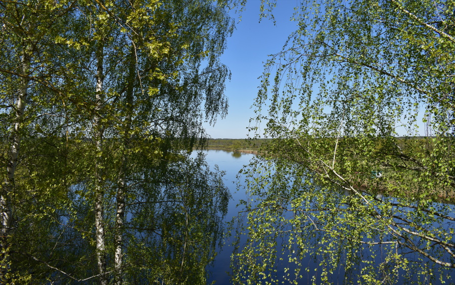 Картинки весенний ливень