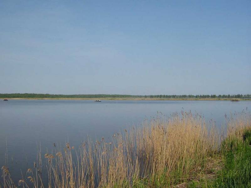 Ð¡Ð°Ð¶Ð°Ð»ÐºÑ ÑÑÐ±Ð³Ð°ÑÐ° Â«ÐÐ°ÐºÑÑÑÑÂ»