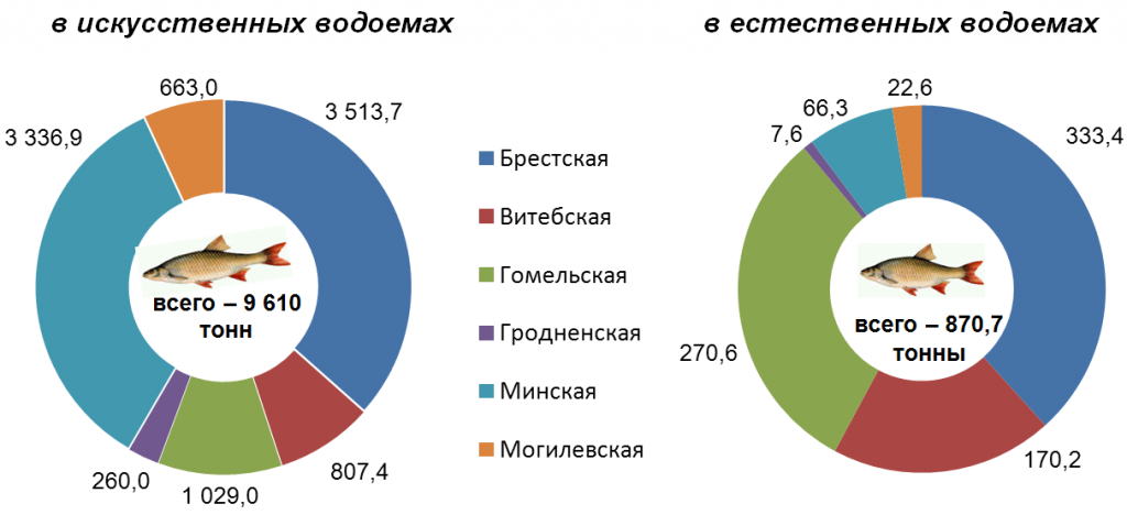 Рыбы статистика. Импортеры рыбы в мире. Улов рыбы по регионам России диаграмма. Объем выращенной рыбы в мире.