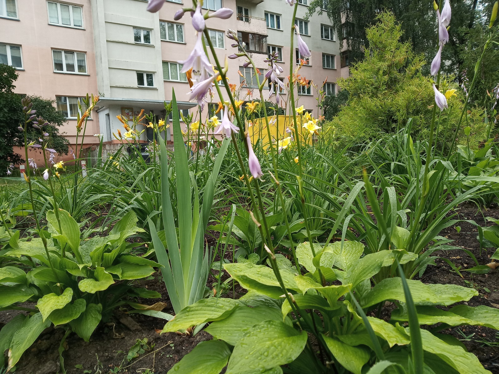 Жкх благоустройство. Работа в Мысках в ЖКХ Озеленение.