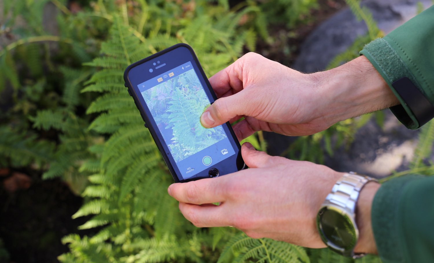 программа распознавания растений по фото для андроид