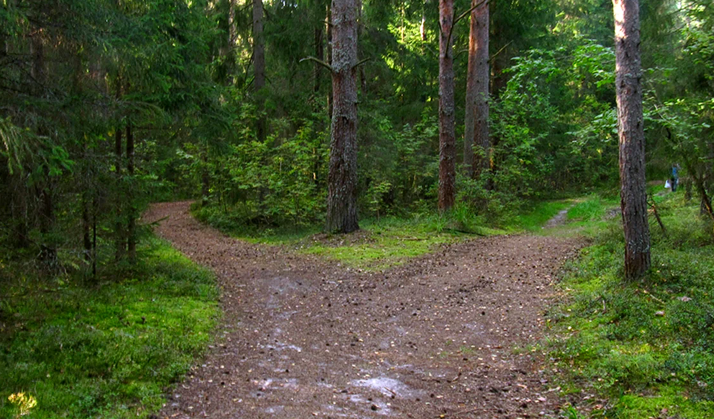 ÐÐ»Ð»ÑÑÑÑÐ°ÑÐ¸Ð²Ð½Ð¾Ðµ Ð¸Ð·Ð¾Ð±ÑÐ°Ð¶ÐµÐ½Ð¸Ðµ