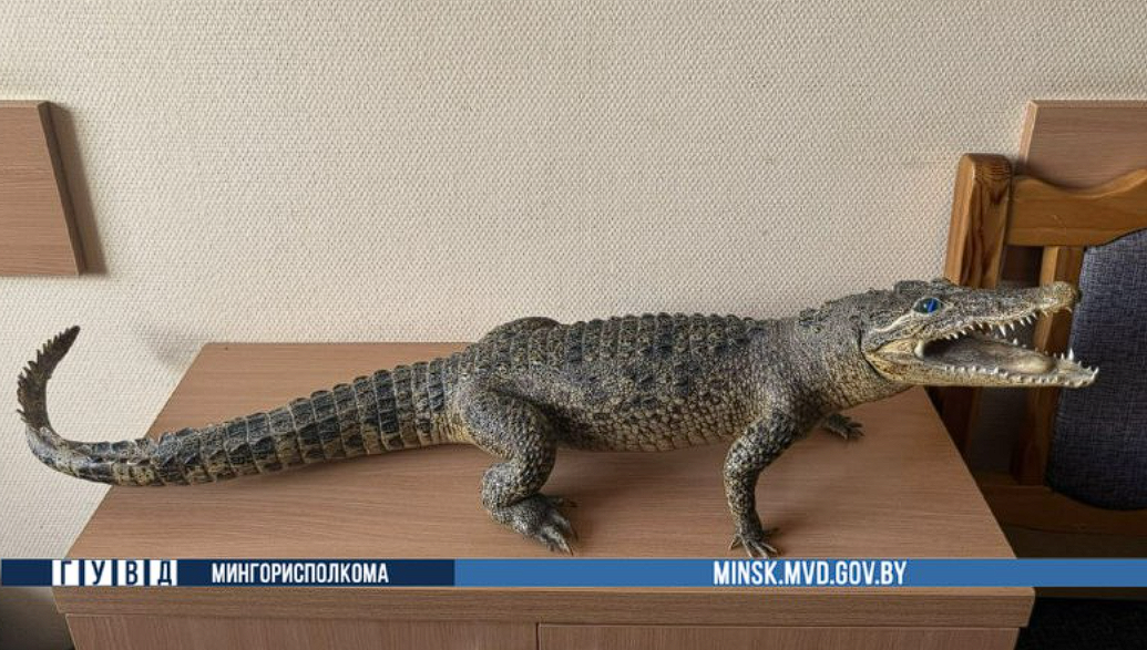 ÐÑÐ±Ð¸Ð½ÑÐºÐ¸Ð¹ ÐºÑÐ¾ÐºÐ¾Ð´Ð¸Ð»