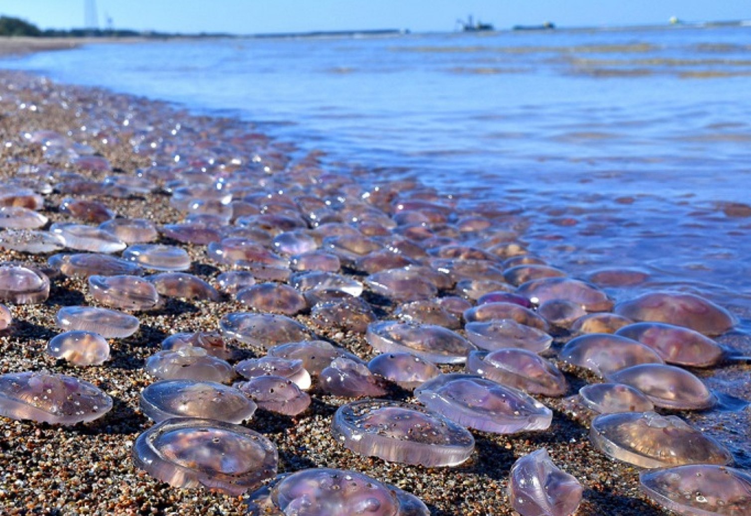 ÐÐ»Ð»ÑÑÑÑÐ°ÑÐ¸Ð²Ð½Ð¾Ðµ Ð¸Ð·Ð¾Ð±ÑÐ°Ð¶ÐµÐ½Ð¸Ðµ