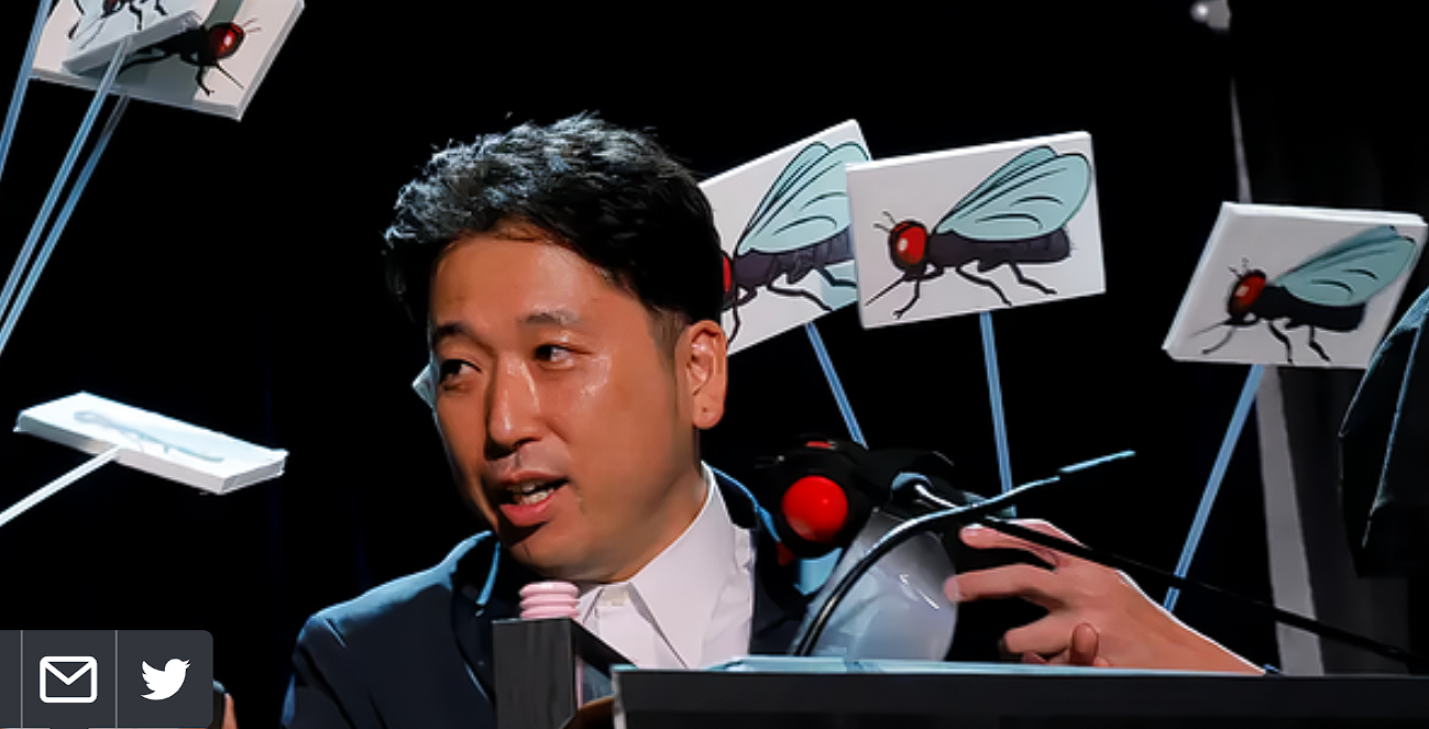 Ð¢Ð¾Ð¼Ð¾ÐºÐ¸ ÐÐ¾Ð´Ð·Ð¸Ð¼Ð° Ð¿Ð¾Ð»ÑÑÐ°ÐµÑ Ð½Ð°Ð³ÑÐ°Ð´Ñ Ð·Ð° Ð¸ÑÑÐ»ÐµÐ´Ð¾Ð²Ð°Ð½Ð¸Ðµ, Ð´Ð¾ÐºÐ°Ð·ÑÐ²Ð°ÑÑÐµÐµ, ÑÑÐ¾ Ð½Ð°ÑÐµÐºÐ¾Ð¼ÑÐµ Ð¼ÐµÐ½ÑÑÐµ ÐºÑÑÐ°ÑÑ ÐºÐ¾ÑÐ¾Ð², ÐµÑÐ»Ð¸ ÐºÐ¾ÑÐ¾Ð²Ñ ÑÐ°ÑÐºÑÐ°ÑÐ¸ÑÑ Ð¿Ð¾Ð´ Ð·ÐµÐ±ÑÑ. Ð¤Ð¾ÑÐ¾ - Brian Snyder/Reuters