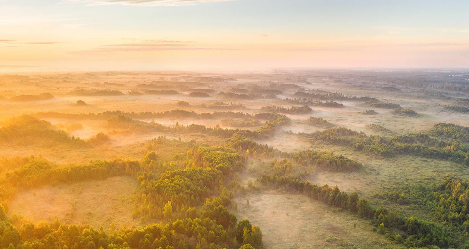 Ð¤Ð¾ÑÐ° - zvanec.by