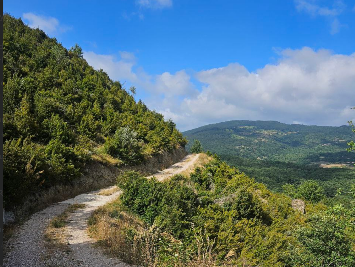 Ð¤Ð¾ÑÐ° Ð· Ð°ÑÑÑÐ²Ð° Ð³ÐµÑÐ¾Ñ