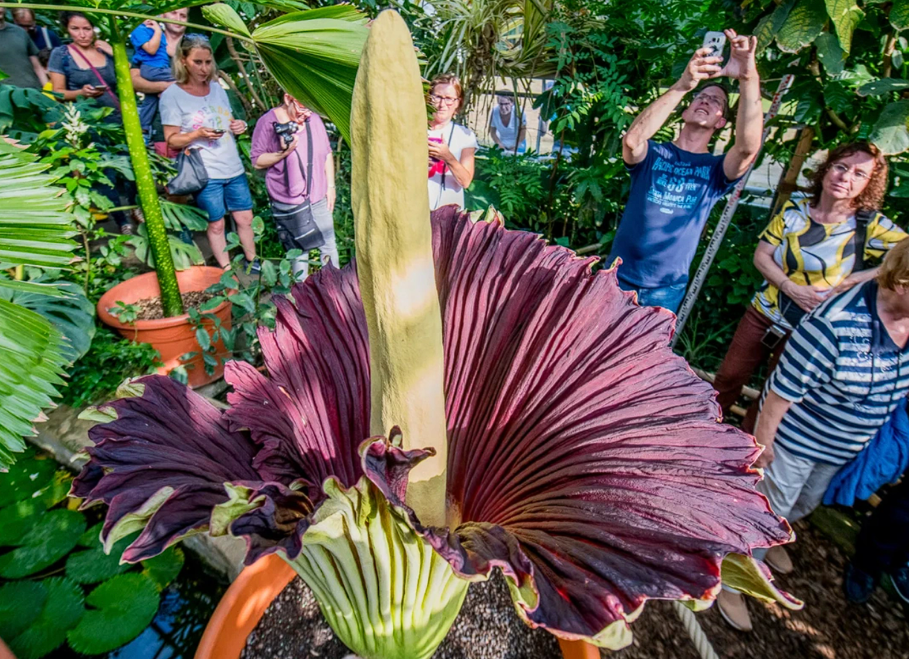 ÐÐ»Ð»ÑÑÑÑÐ°ÑÐ¸Ð²Ð½Ð¾Ðµ Ð¸Ð·Ð¾Ð±ÑÐ°Ð¶ÐµÐ½Ð¸Ðµ