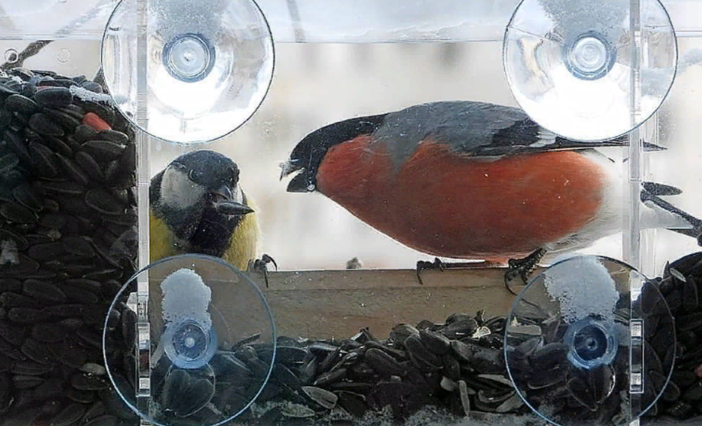 ÐÐ»Ð»ÑÑÑÑÐ°ÑÐ¸Ð²Ð½Ð¾Ðµ Ð¸Ð·Ð¾Ð±ÑÐ°Ð¶ÐµÐ½Ð¸Ðµ