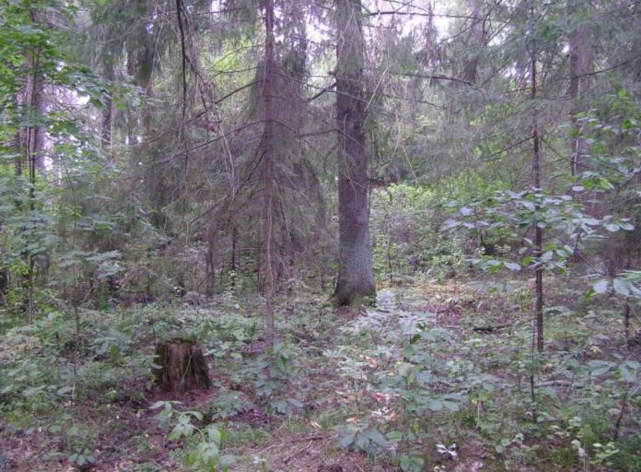 Ð¤Ð¾ÑÐ° - minpriroda.gov.by