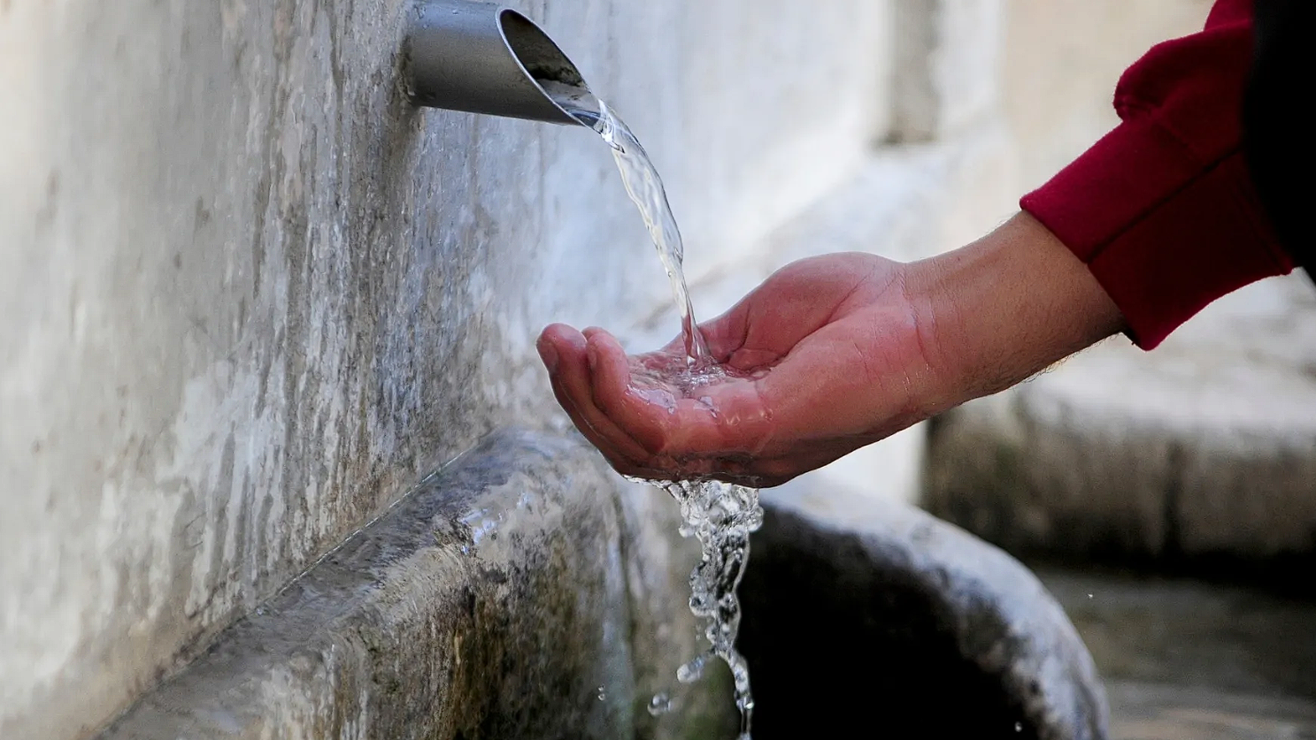 Ð¤Ð¾ÑÐ¾ - AP Photo/Hassene Dridi