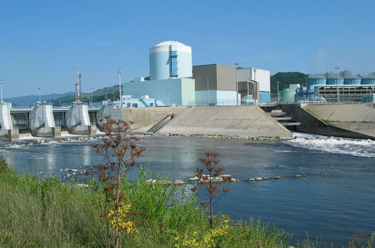 ÐÐ­Ð¡ "ÐÑÑÐºÐ¾"