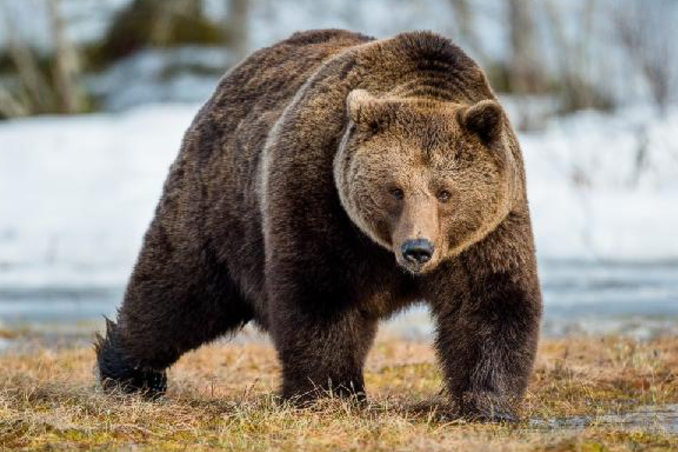 ÐÐ»Ð»ÑÑÑÑÐ°ÑÐ¸Ð²Ð½Ð¾Ðµ Ð¸Ð·Ð¾Ð±ÑÐ°Ð¶ÐµÐ½Ð¸Ðµ