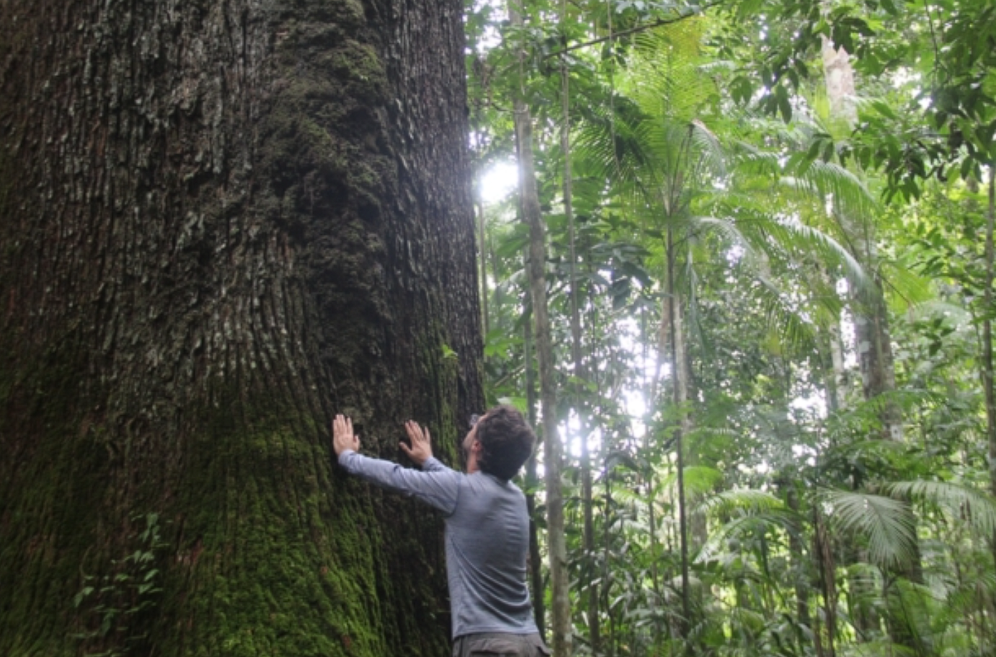 Ð¤Ð¾ÑÐ¾ - shutterstock