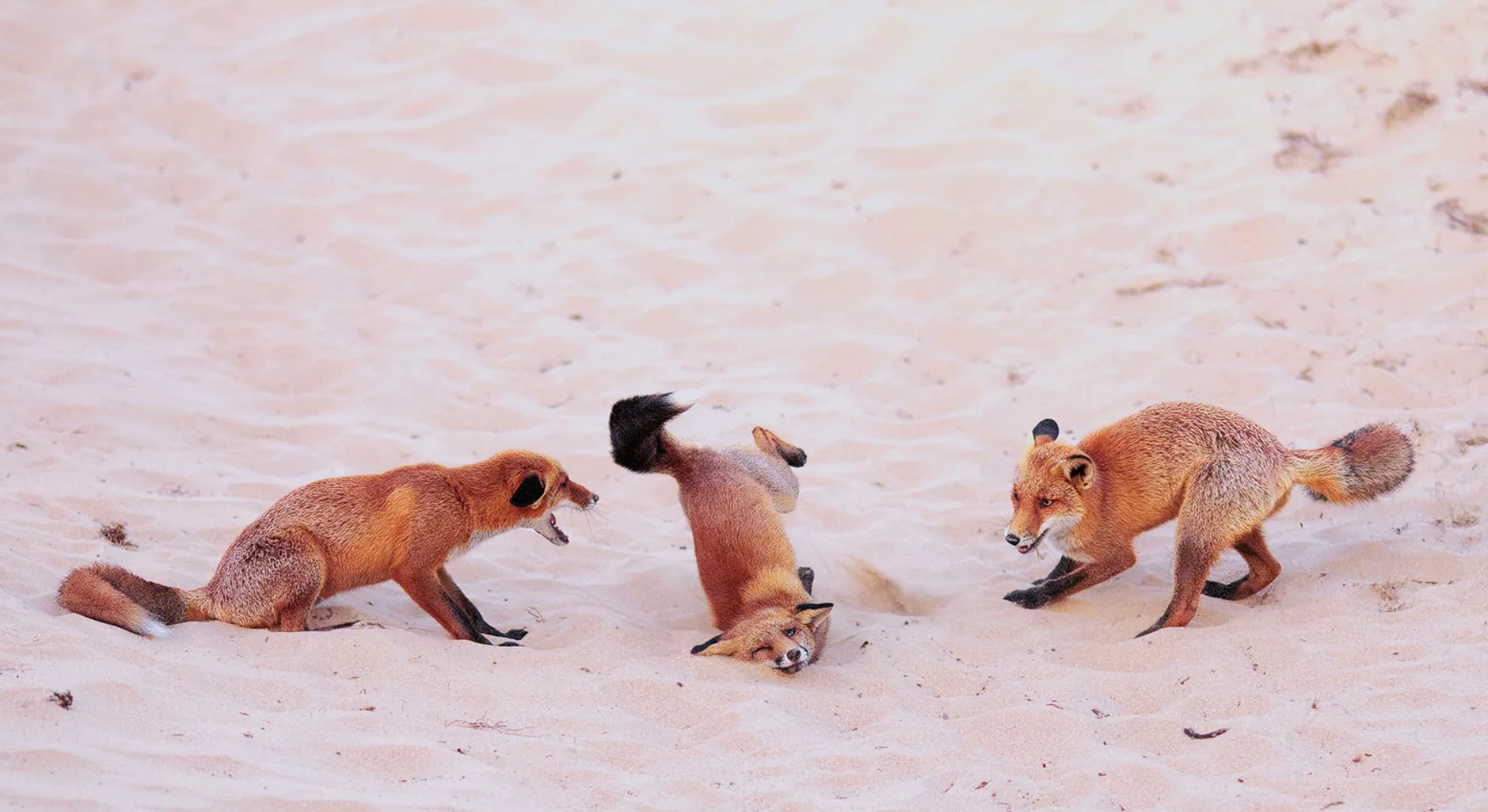 ÐÐ°Ð¼ÑÐ½Ð°ÑÑÑ Â«Ð®Ð½Ñ ÑÐ°ÑÐ¾Ð³ÑÐ°ÑÂ» (Ð´Ð° 16 Ð³Ð°Ð´Ð¾Ñ)