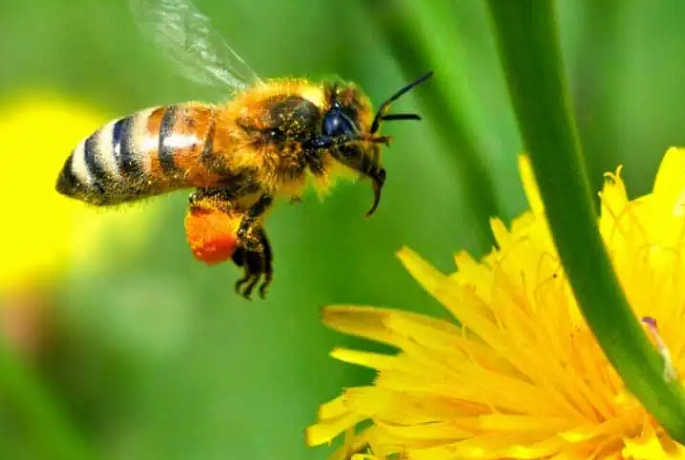 ÐÐ»Ð»ÑÑÑÑÐ°ÑÐ¸Ð²Ð½Ð¾Ðµ Ð¸Ð·Ð¾Ð±ÑÐ°Ð¶ÐµÐ½Ð¸Ðµ