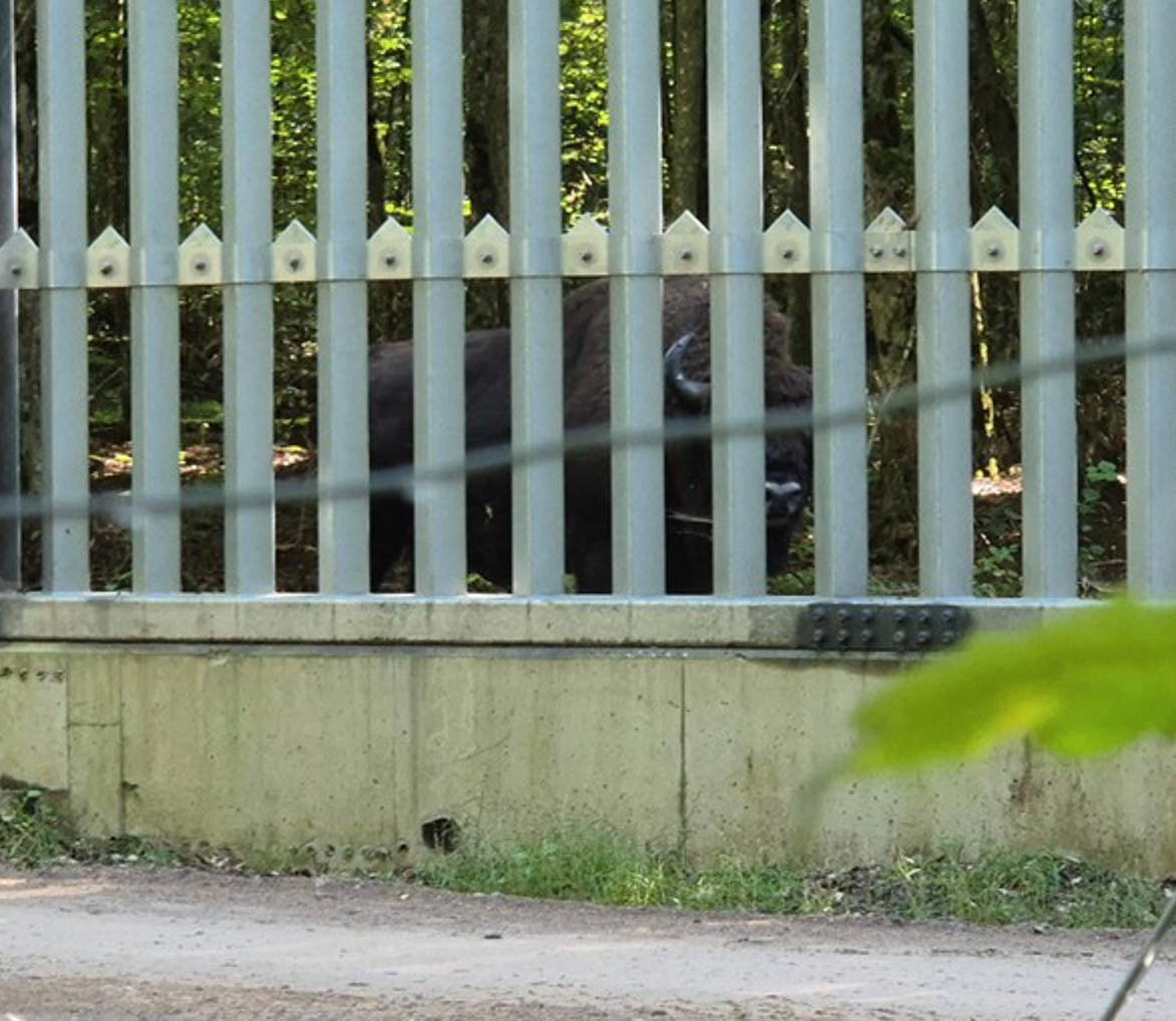 ÐÑÐ±Ñ ÑÑÐ°ÑÑÑ Ð¿Ð°Ð¼ÑÐ¶ Ð¿Ð¾Ð»ÑÑÐºÐ°Ð¹ Ñ Ð±ÐµÐ»Ð°ÑÑÑÐºÐ°Ð¹ Ð¿Ð°Ð¼ÐµÐ¶Ð½ÑÐ¼Ñ Ð°Ð³Ð°ÑÐ¾Ð´Ð¶Ð°Ð¼Ñ, Ð¶Ð½ÑÐ²ÐµÐ½Ñ 2025 Ð³Ð¾Ð´Ð°, Ð¿Ð°ÑÐ½Ð¾ÑÐ½Ð°Ñ ÑÐ°ÑÑÐºÐ° ÐÐµÐ»Ð°Ð²ÐµÐ¶ÑÐºÐ°Ð¹ Ð¿ÑÑÑÑ. Ð¤Ð¾ÑÐ°: ÐÐ½ÑÑÑÑÑÑ Ð²ÑÐ²ÑÑÑÐ½Ð½Ñ Ð¼Ð»ÐµÐºÐ°ÐºÐ¾ÑÐ¼ÑÑÑÑ ÐÐ¾Ð»ÑÑÐºÐ°Ð¹ Ð°ÐºÐ°Ð´ÑÐ¼ÑÑ Ð½Ð°Ð²ÑÐº.