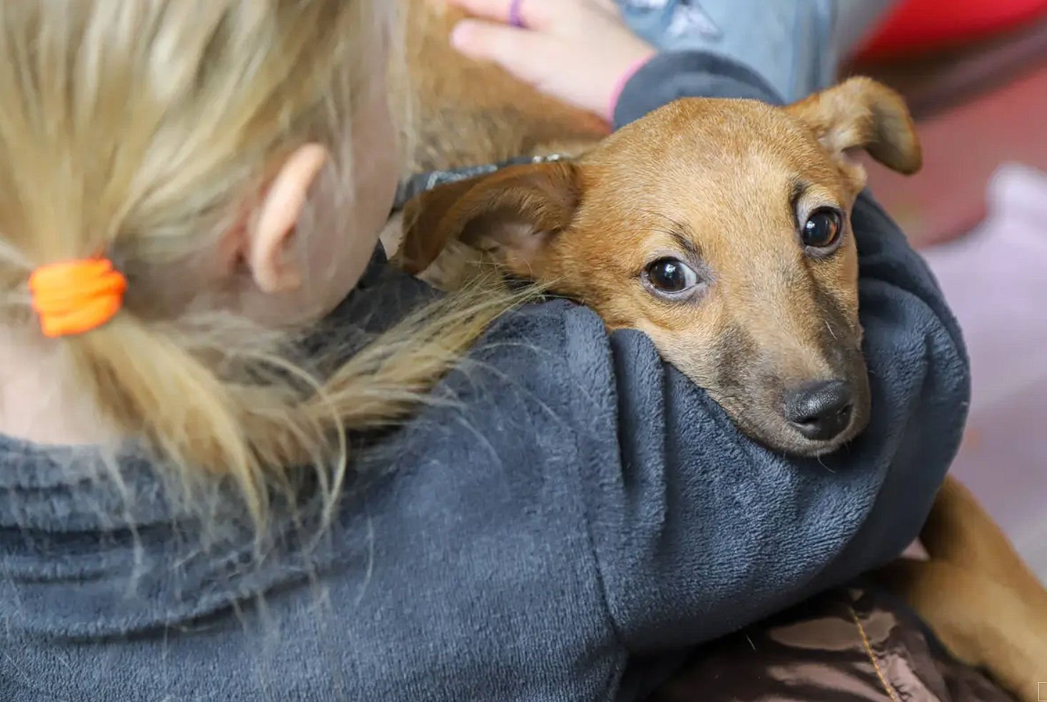 Ð¤Ð¾ÑÐ¾ - ÐÐ°Ð´Ð¸Ð½Ð° ÐÑÐ·Ð°Ð¼ / Â«ÐÐ°Ð·ÐµÑÐ°.uzÂ»