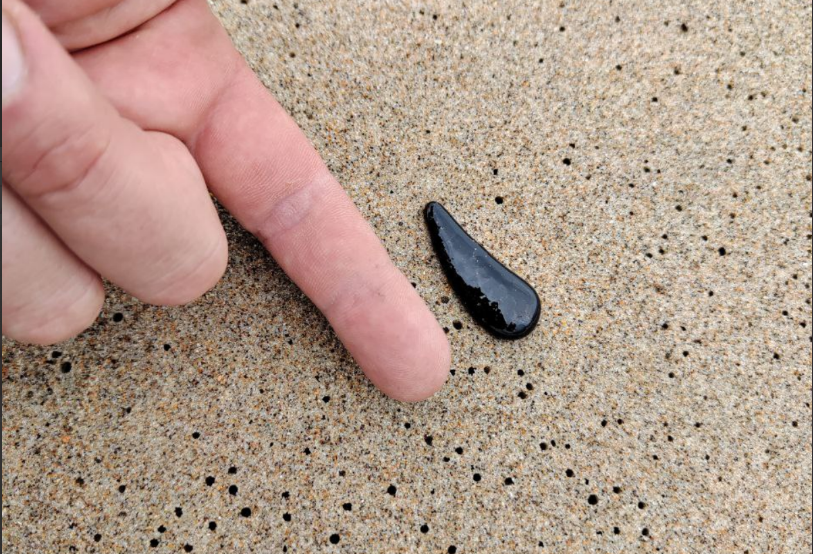 ÐÐ¾Ð¼ÐºÐ¸ Ð¼Ð°Ð·ÑÑÐ°, ÑÐ°Ð·Ð±ÑÐ¾ÑÐ°Ð½Ð½ÑÐµ Ð¿Ð¾ Ð¿Ð»ÑÐ¶Ñ.