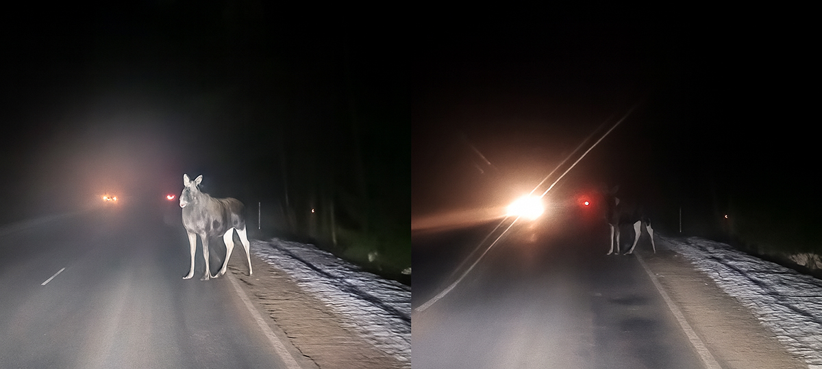 Ð¡ÐºÑÑÐ½ÑÐ¾Ñ Ð· Ð²ÑÐ´ÑÐ° Ñ TikTok, Ð¿Ð°Ð»ÐµÐ¿ÑÐ°Ð½Ñ Ð½ÐµÐ¹ÑÐ°ÑÐµÑÐºÐ°Ð¹