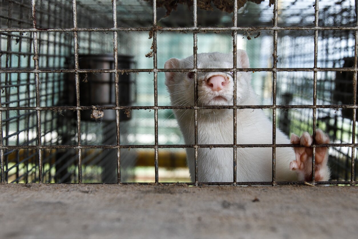 ÐÐ»Ð»ÑÑÑÑÐ°ÑÐ¸Ð²Ð½Ð¾Ðµ Ð¸Ð·Ð¾Ð±ÑÐ°Ð¶ÐµÐ½Ð¸Ðµ