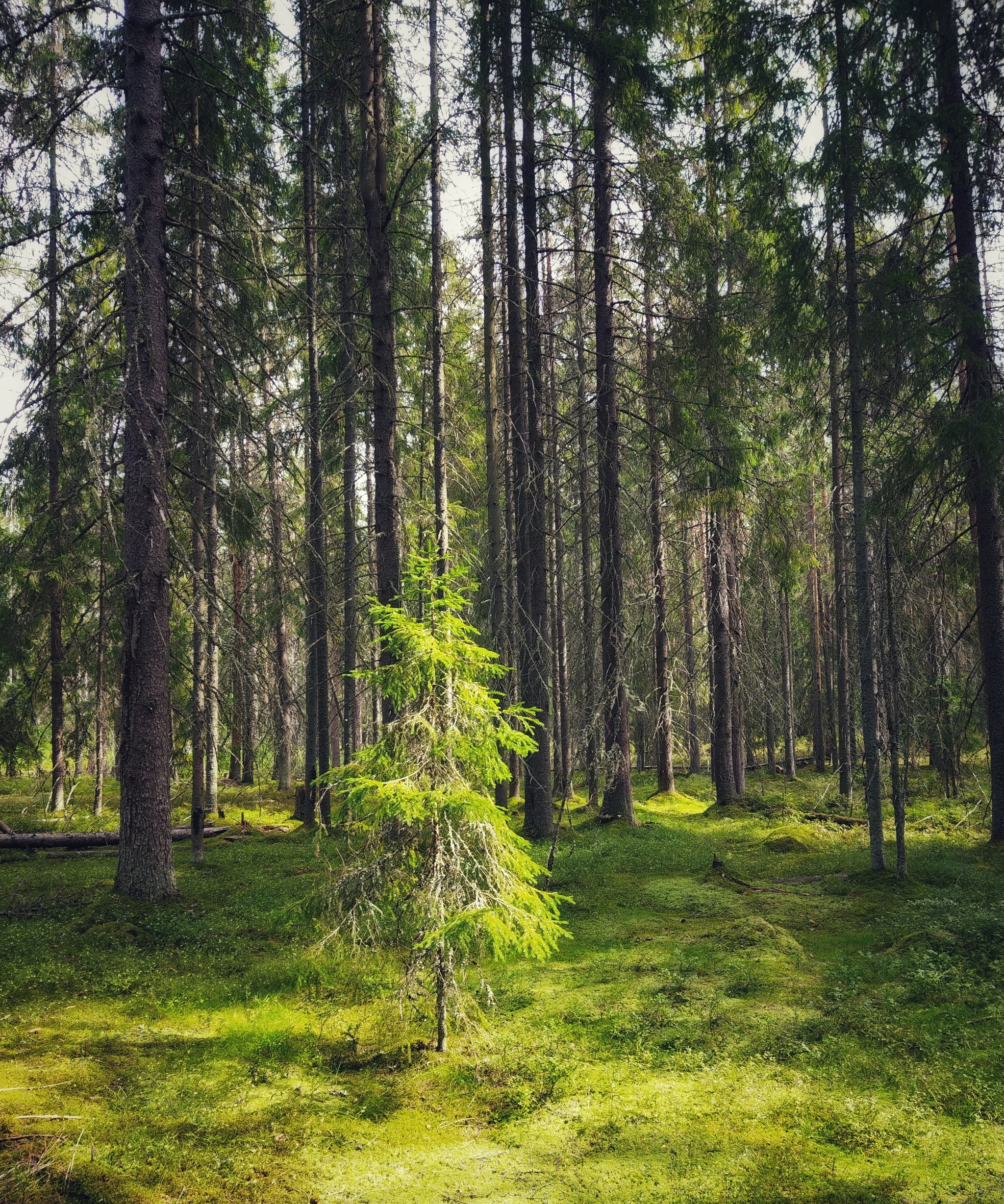 ÐÐ»Ð»ÑÑÑÑÐ°ÑÐ¸Ð²Ð½Ð¾Ðµ Ð¸Ð·Ð¾Ð±ÑÐ°Ð¶ÐµÐ½Ð¸Ðµ