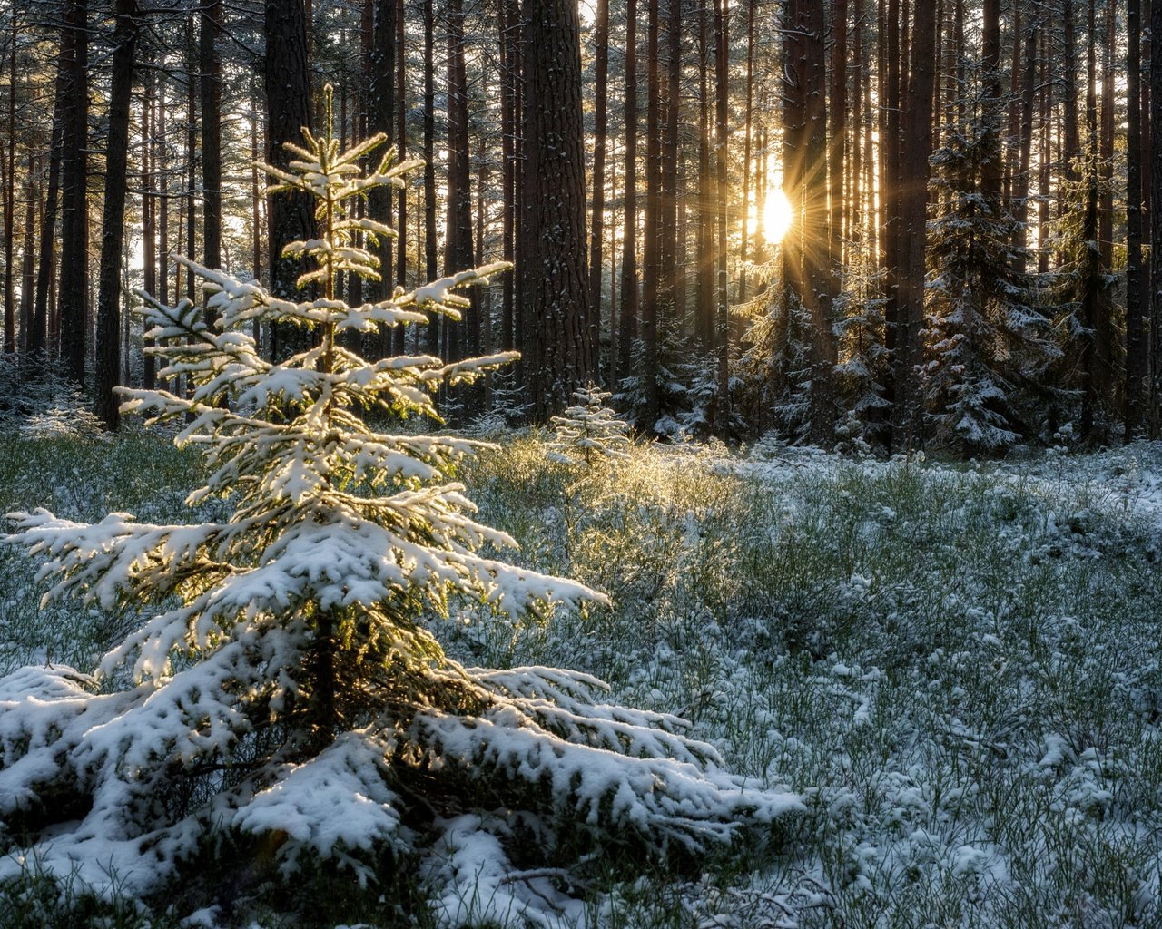 ÐÐ»Ð»ÑÑÑÑÐ°ÑÐ¸Ð²Ð½Ð¾Ðµ Ð¸Ð·Ð¾Ð±ÑÐ°Ð¶ÐµÐ½Ð¸Ðµ