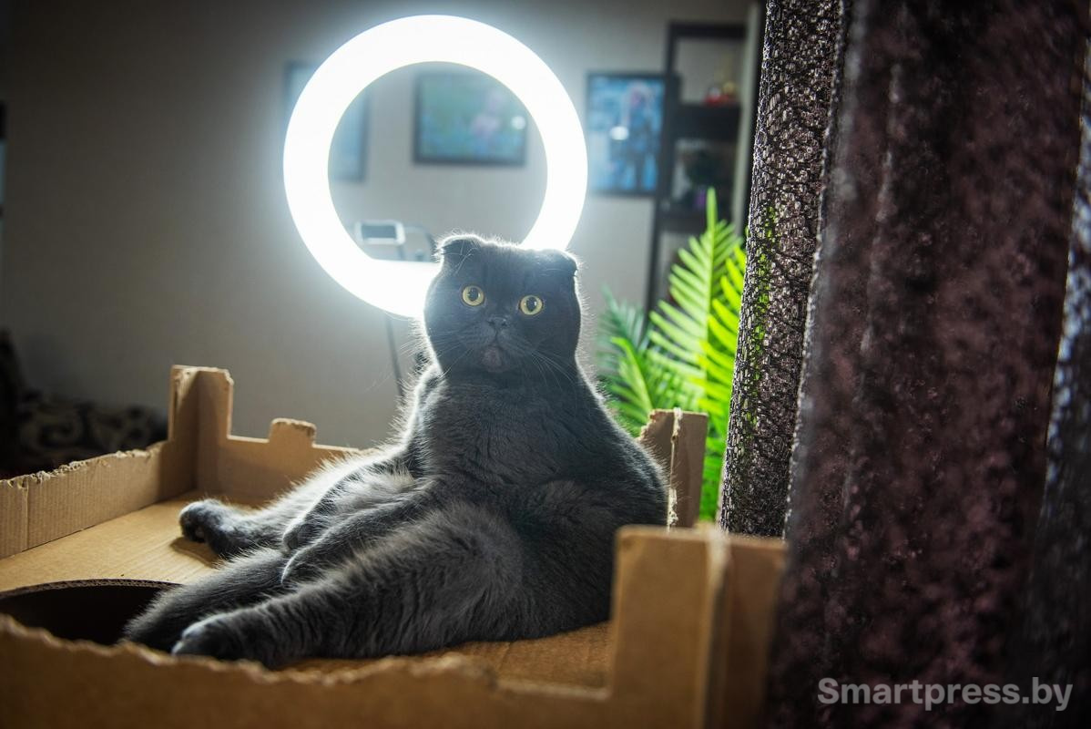 ÐÐ¾Ð½Ñ. Ð¤Ð¾ÑÐ¾ - Smartpress