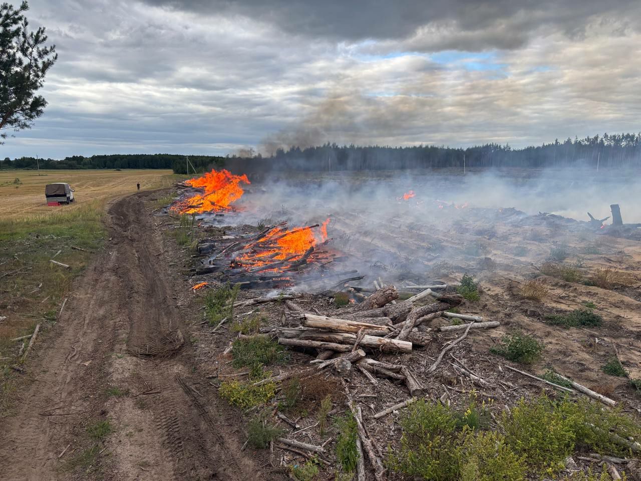 ÐÐ°Ð»Ð¸Ð½ÐºÐ¾Ð²Ð¸ÑÑÐºÐ¸Ð¹ Ð»ÐµÑÑÐ¾Ð·, 2025 Ð³Ð¾Ð´. Ð¡ÑÐ´Ñ Ð¿Ð¾ ÑÐ¾ÑÐ¾, ÑÐ¶Ð¸Ð³Ð°ÑÑ Ð´ÑÐµÐ²ÐµÑÐ½ÑÐµ Ð¾ÑÑÐ°ÑÐºÐ¸ Ð¿Ð¾ÑÐ»Ðµ ÑÐ°Ð±Ð¾Ñ.