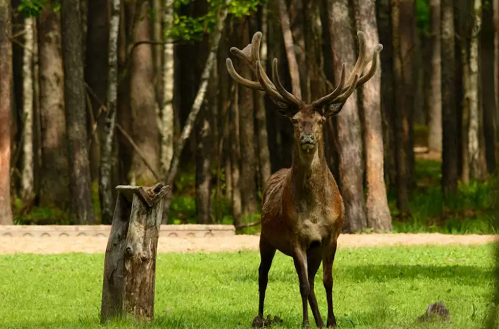 ÐÐ»ÑÑÑÑÐ°ÑÑÑÐ½Ð°Ðµ ÑÐ¾ÑÐ°