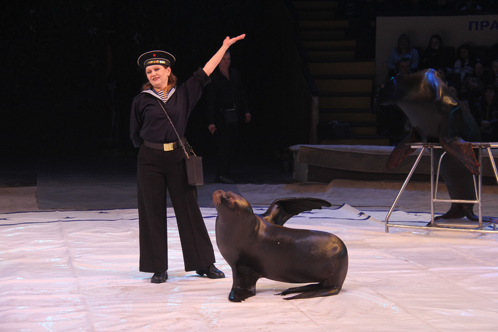 Ð¤Ð¾ÑÐ° - welcomekursk.ru