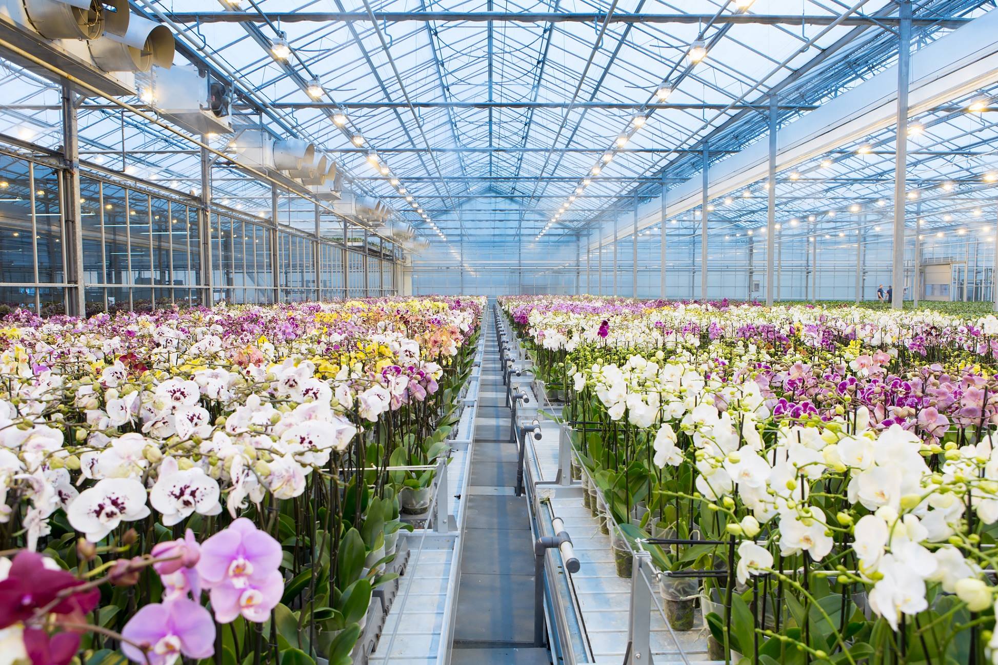 ÐÐ»Ð»ÑÑÑÑÐ°ÑÐ¸Ð²Ð½Ð¾Ðµ Ð¸Ð·Ð¾Ð±ÑÐ°Ð¶ÐµÐ½Ð¸Ðµ