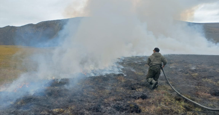 ÐÐ¾Ð¶Ð°Ñ Ð² ÑÑÐ½Ð´ÑÐµ