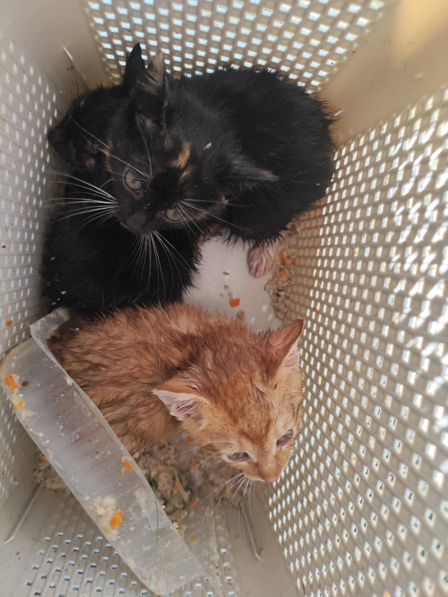 ÐÑÐ»Ð¾Ð²