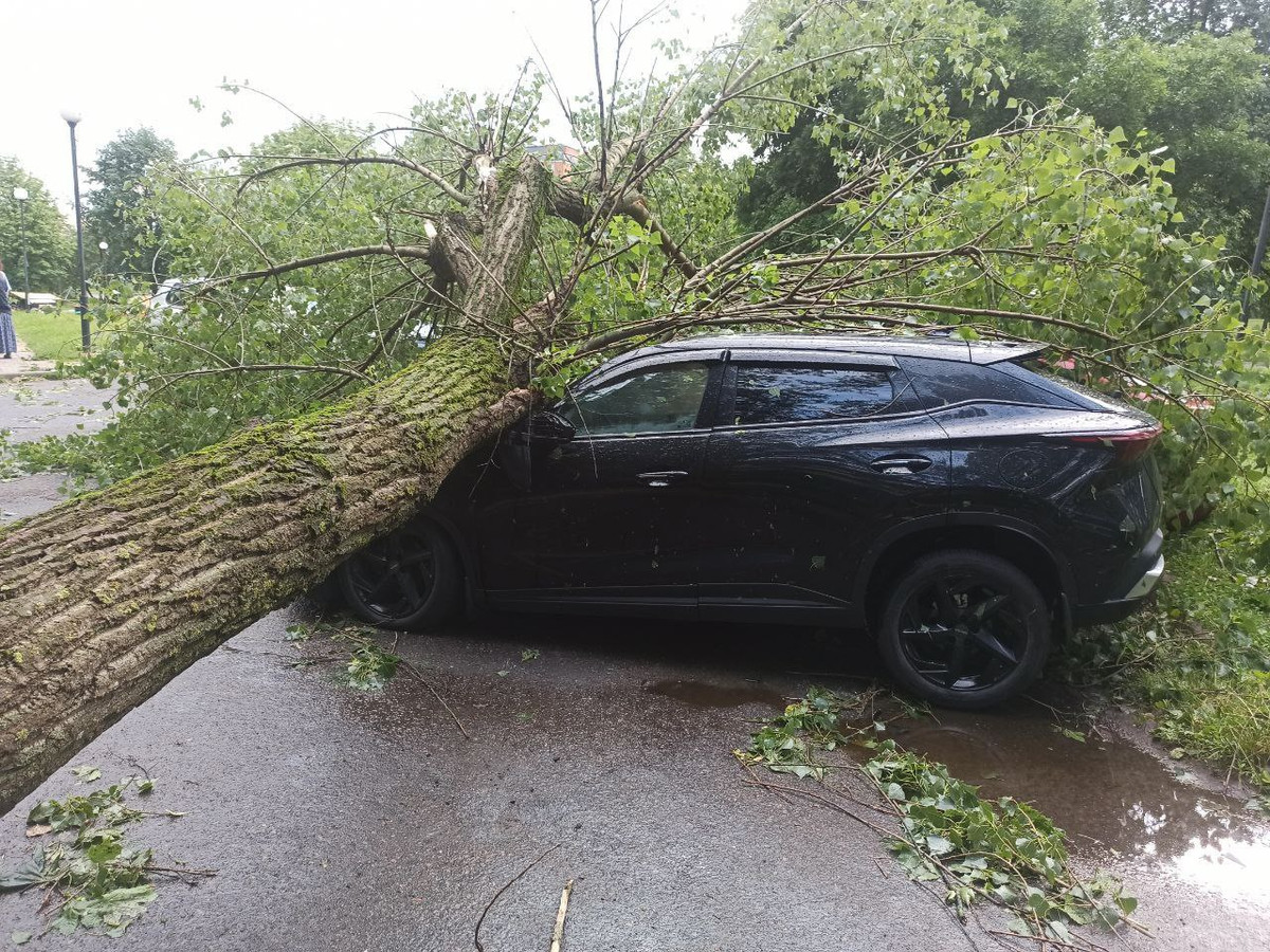 Ð¤Ð¾ÑÐ¾ - mogilev.1prof.by