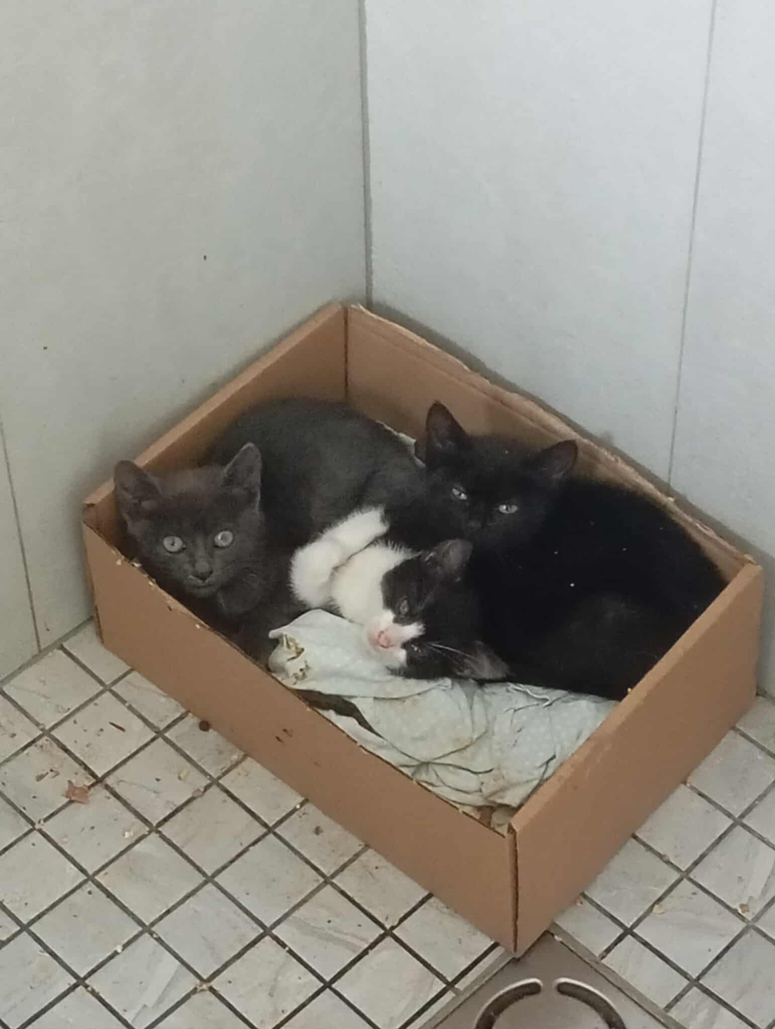 Ð¯ ÑÑÑÐºÐ¸ Ð½Ðµ Ð¿ÑÐ¸Ð½Ð¸Ð¼Ð°Ð»Ð° Ð´ÑÑ, Ð²ÐµÐ´Ñ ÐµÐ³Ð¾ Ð·Ð°Ð½ÑÐ»Ð¸ ÐºÐ¾ÑÑÑÐ°