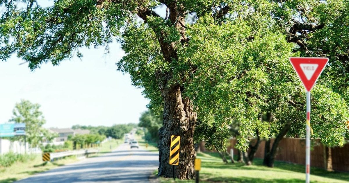 ÐÑÐ± ÐÐ¶Ð¾Ð»Ð¸Ð½ Ð¿ÐµÑÐµÐ½ÐµÑÑÑ Ð½Ð° Ð¼ÐµÑÑÐ¾, ÑÑÐ¾Ð±Ñ ÑÐ°ÑÑÐ¸ÑÐ¸ÑÑ Ð´Ð¾ÑÐ¾Ð³Ñ