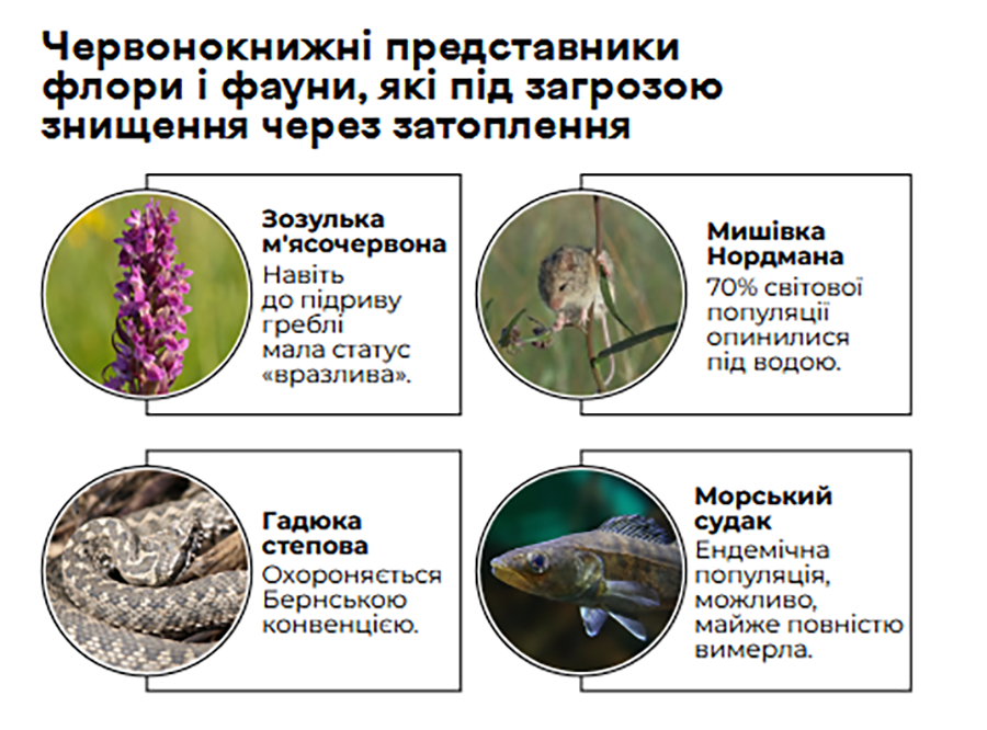 Ð§ÑÑÐ²Ð°Ð½Ð°ÐºÐ½ÑÐ¶Ð½ÑÑ Ð¿ÑÐ°Ð´ÑÑÐ°ÑÐ½ÑÐºÑ ÑÐ»Ð¾ÑÑ Ñ ÑÐ°ÑÐ½Ñ, ÑÐºÑÑ Ð°ÐºÐ°Ð·Ð°Ð»ÑÑÑ Ð¿Ð°Ð´ Ð¿Ð°Ð³ÑÐ¾Ð·Ð°Ð¹ Ð·Ð½ÑÑÑÑÐ½Ð½Ñ Ð·-Ð·Ð° Ð·Ð°ÑÐ°Ð¿Ð»ÐµÐ½Ð½Ñ. ÐÐ½ÑÐ°Ð³ÑÐ°ÑÑÐºÐ° -Truth Hounds
