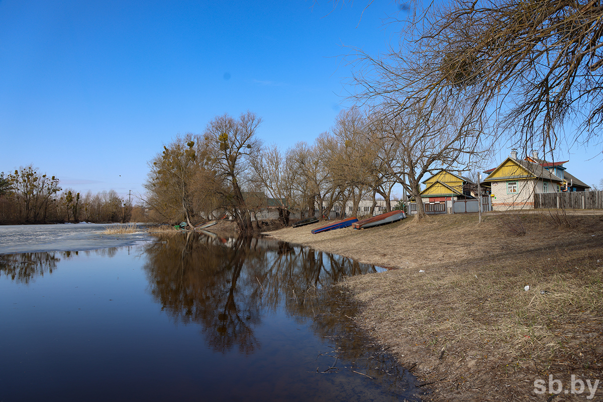 ÐÐµÑÐ½Ð¾Ð¹ Ð¿Ð°Ð²Ð¾Ð´ÐºÐ¸ ÑÐµÐ³ÑÐ»ÑÑÐ½Ð¾ Ð¿ÑÐ¸Ð²Ð¾Ð´ÑÑ Ðº Ð¿Ð¾Ð´ÑÐ¾Ð¿Ð»ÐµÐ½Ð¸ÑÐ¼ Ð² Ð¾ÑÐ´ÐµÐ»ÑÐ½ÑÑ ÑÐ°Ð¹Ð¾Ð½Ð°Ñ ÐÐµÐ»Ð°ÑÑÑÐ¸, ÑÐ¾ÑÐ¾ - sb.by