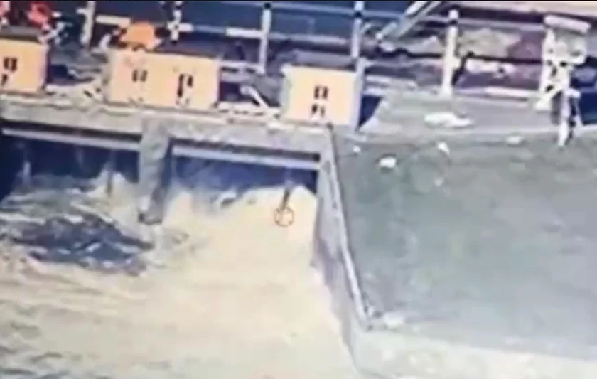 Ð¤Ð¾ÑÐ° Ð´Ð°Ð¼Ð±Ñ