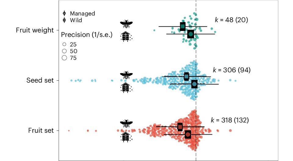 ÐÐ½ÑÐ¾Ð³ÑÐ°ÑÐ¸ÐºÐ° - Maddi Artamendi et al. / Nature Ecology & Evolution, 2024