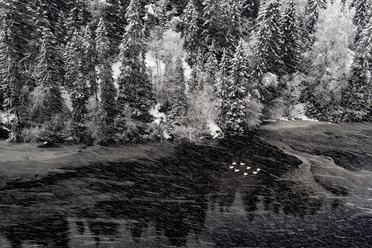 Â«ÐÐµÐ±ÐµÐ´Ð¸Ð½Ð¾Ðµ Ð¾Ð·ÐµÑÐ¾Â»  Terje Kolaas / German Society for Nature Photography