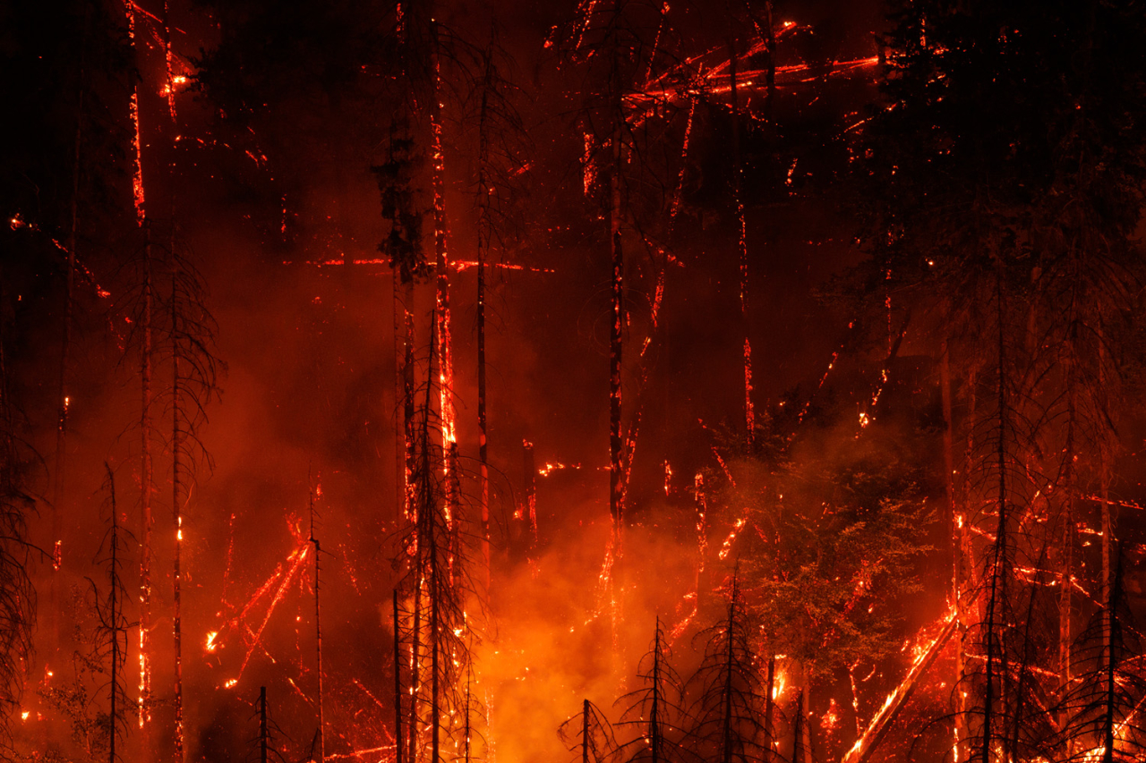 Â«ÐÑÐµÐ¸ÑÐ¿Ð¾Ð´Ð½ÑÑÂ»  Tobias Richter / German Society for Nature Photography