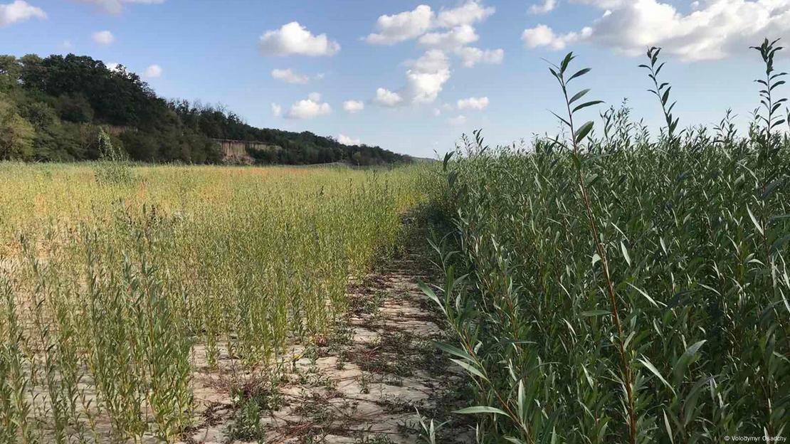 Ð¤Ð¾ÑÐ° - ÐÐ°Ð»Ð°Ð´Ð·ÑÐ¼ÑÑ ÐÑÐ°Ð´ÑÑ
