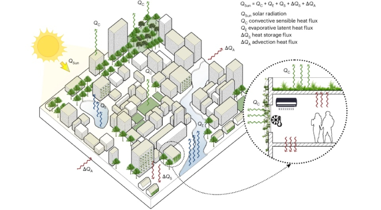 ÐÐ½ÑÐ¾Ð³ÑÐ°ÑÐ¸ÐºÐ° - Hailu Wei et al. / Nature Cities, 2025